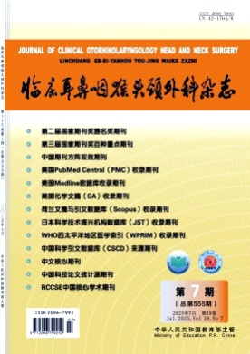 临床耳鼻咽喉头颈外科杂志杂志